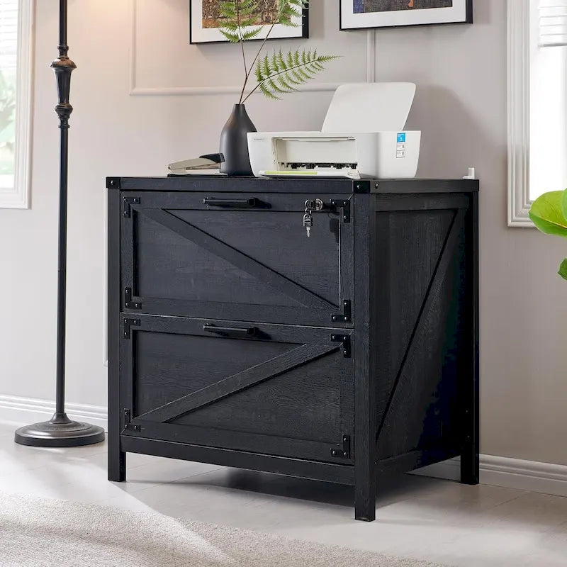 Farmhouse 2 Drawer File Cabinet, Lateral Filing Cabinet with Lock